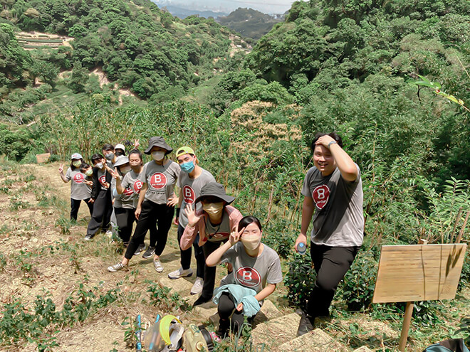 AROMASE forest in taiwan (3)