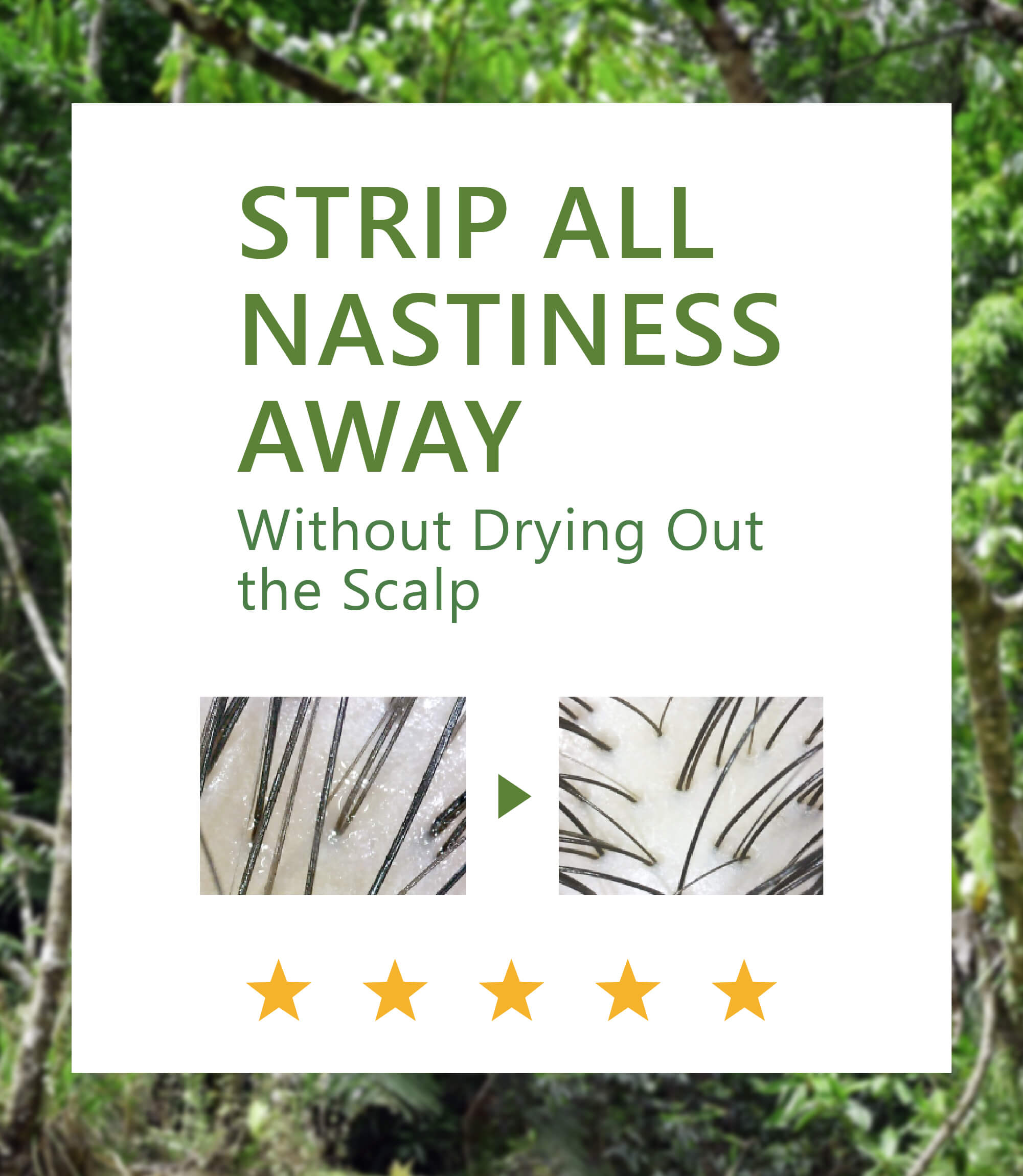 Anti-oil scalp shampoo-aromase-2
