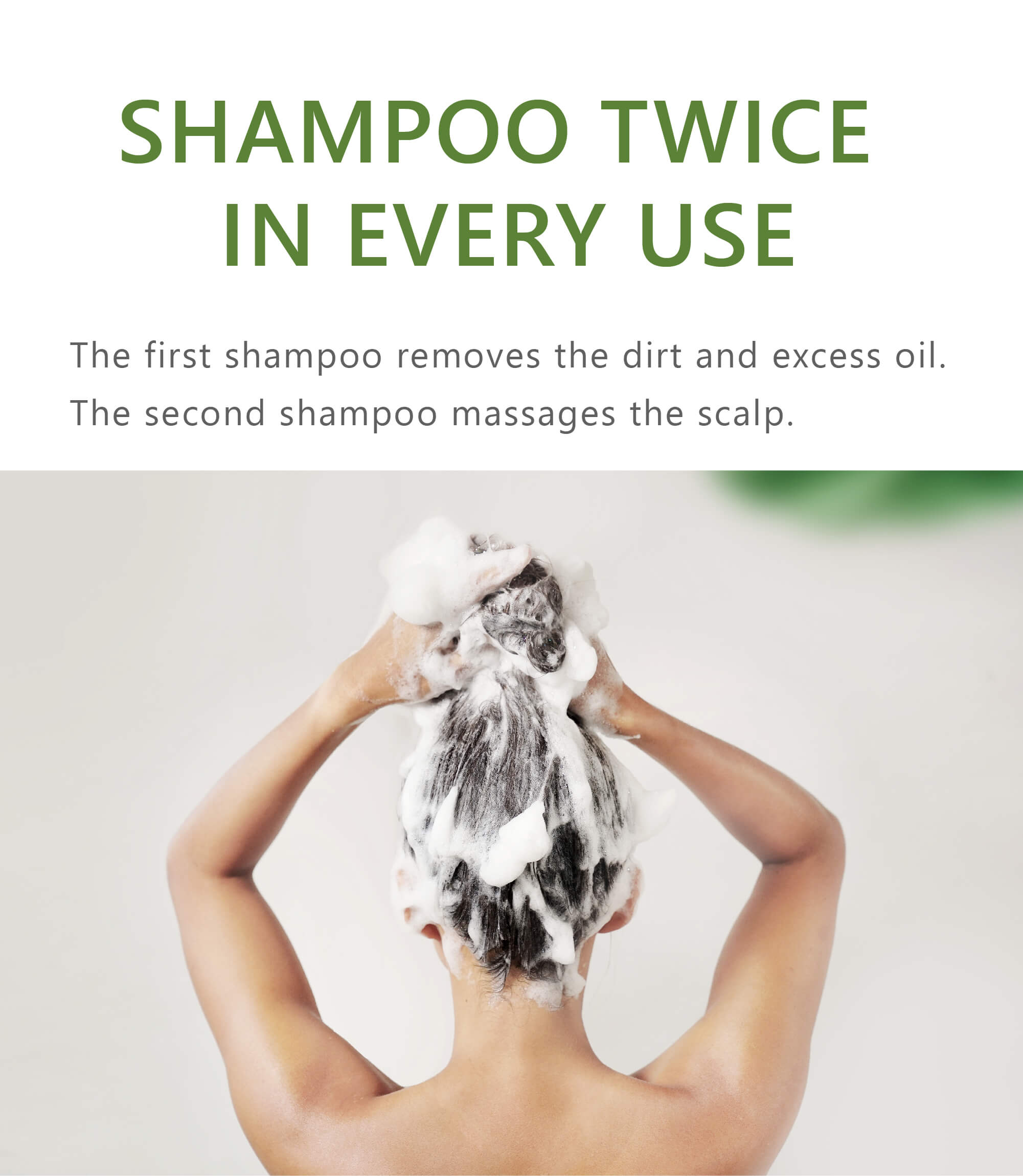 Anti-oil scalp shampoo-aromase-1